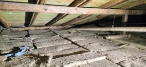 483546586 1676919133246268 2495668967650420372 n